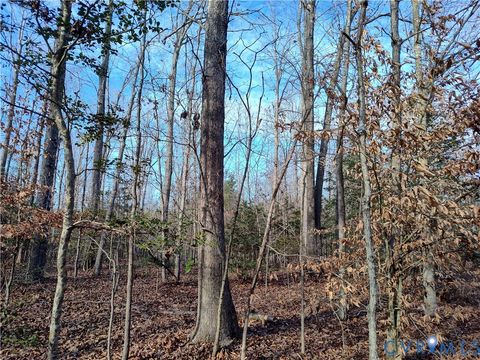 Tiny photo for 20825 Carson Road, Dinwiddie, VA 23841 (MLS # 2602346)