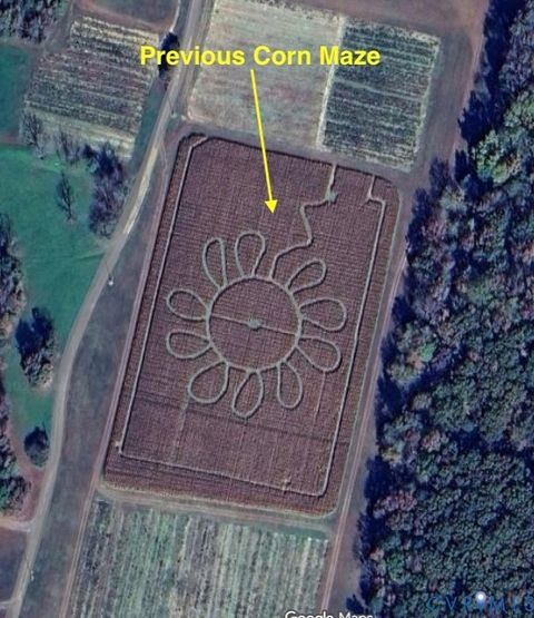 Tiny photo for 20825 Carson Road, Dinwiddie, VA 23841 (MLS # 2602346)