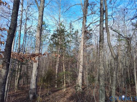 Tiny photo for 20825 Carson Road, Dinwiddie, VA 23841 (MLS # 2602346)