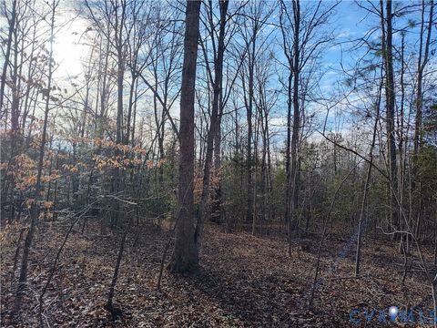 Tiny photo for 20825 Carson Road, Dinwiddie, VA 23841 (MLS # 2602346)