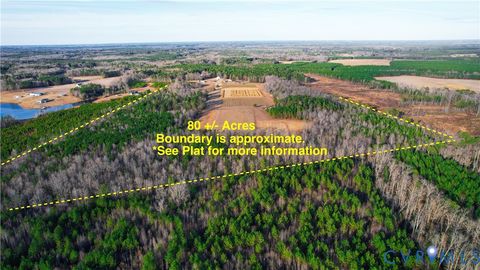 Tiny photo for 20825 Carson Road, Dinwiddie, VA 23841 (MLS # 2602346)