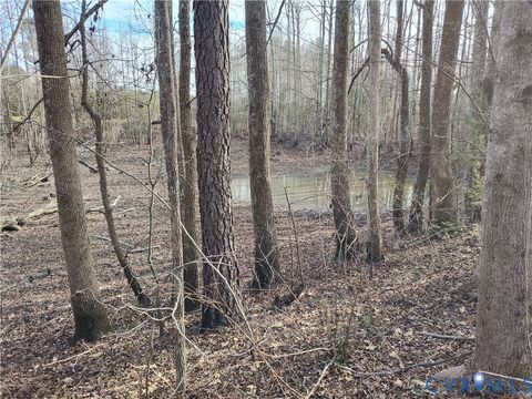 Tiny photo for 20825 Carson Road, Dinwiddie, VA 23841 (MLS # 2602346)