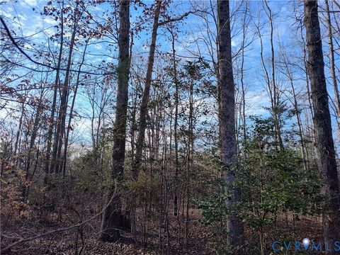 Tiny photo for 20825 Carson Road, Dinwiddie, VA 23841 (MLS # 2602346)