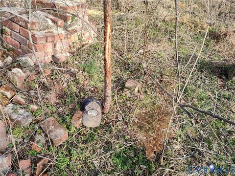 Tiny photo for 20825 Carson Road, Dinwiddie, VA 23841 (MLS # 2602346)