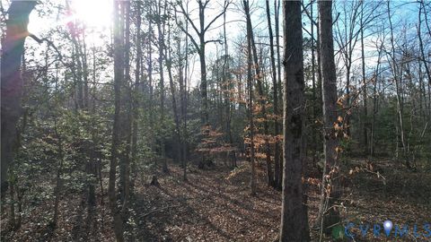 Tiny photo for 20825 Carson Road, Dinwiddie, VA 23841 (MLS # 2602346)