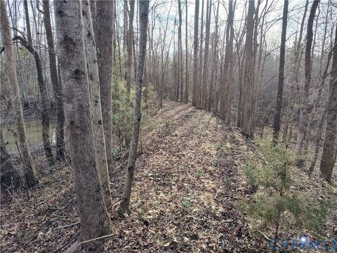 Tiny photo for 20825 Carson Road, Dinwiddie, VA 23841 (MLS # 2602346)