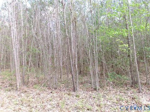 Photo of 69-(6)-2 Lew Jones, DeWitt, VA 23840 (MLS # 2609582)