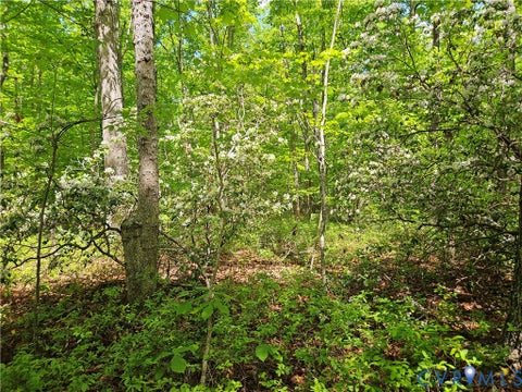 Tiny photo for 3.1 Ac Axtell Road, Howardsville, VA 24562 (MLS # 2610779)