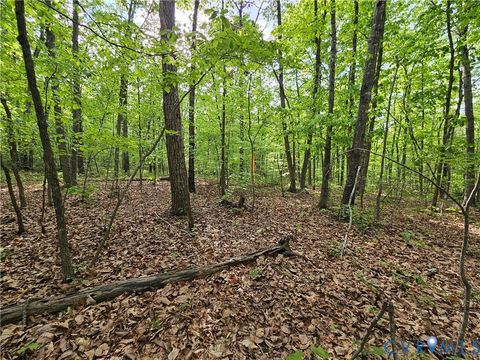 Tiny photo for 3.1 Ac Axtell Road, Howardsville, VA 24562 (MLS # 2610779)