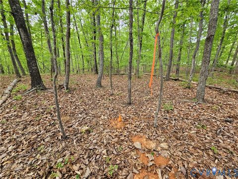 Tiny photo for 3.1 Ac Axtell Road, Howardsville, VA 24562 (MLS # 2610779)