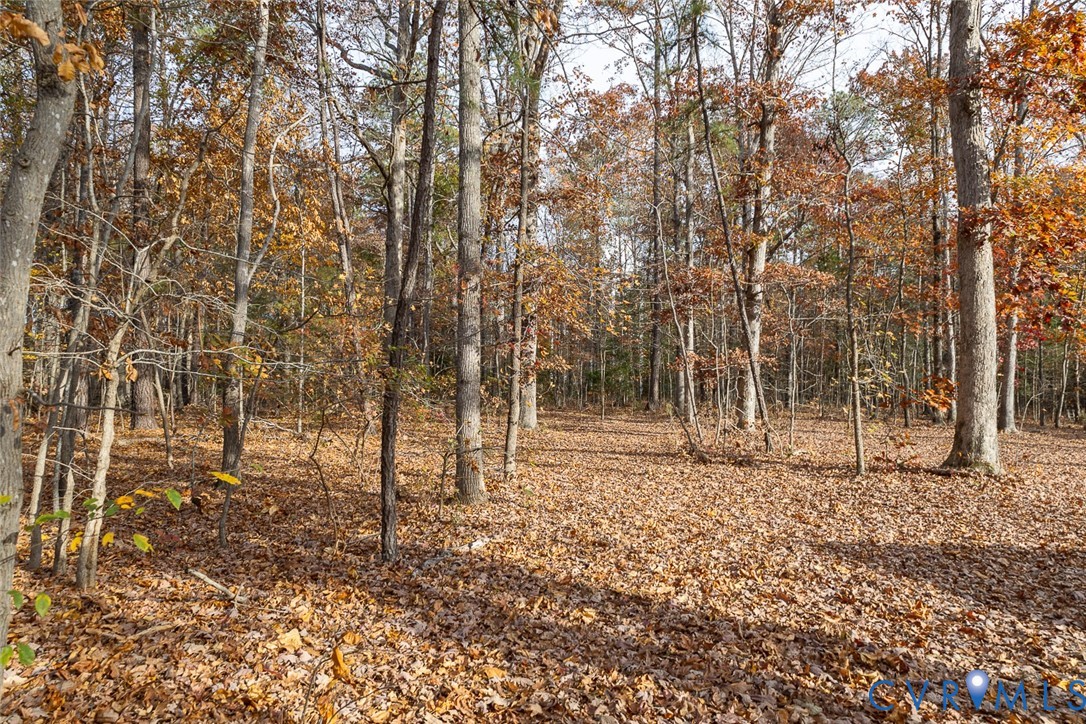 0 Creekmore Road - Photo 2