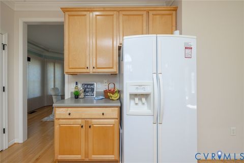 Tiny photo for 909 Newsome Court, Goochland, VA 23063 (MLS # 2610440)