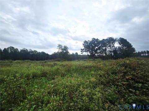 Tiny photo for tbd Rising Sun Road, Mineral, VA 23117 (MLS # 2620774)
