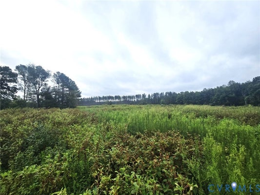 FREDERICKS HALL RD, MINERAL, VA 23117 - Image ae32266a6f1aa5364e5b59c0e7ae721a/280675769