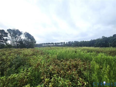 Tiny photo for tbd Rising Sun Road, Mineral, VA 23117 (MLS # 2620774)