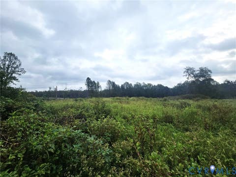 Tiny photo for tbd Rising Sun Road, Mineral, VA 23117 (MLS # 2620774)