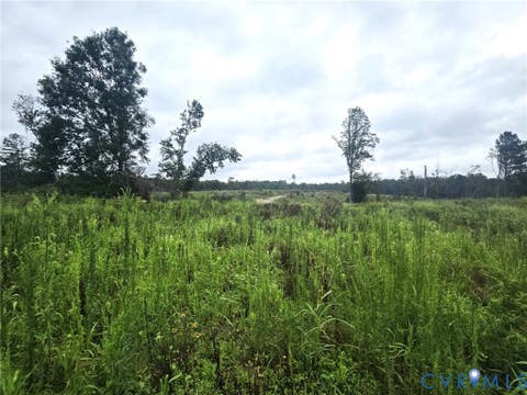 Tiny photo for tbd Rising Sun Road, Mineral, VA 23117 (MLS # 2620774)