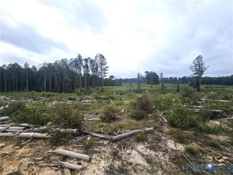 Tiny photo for tbd Rising Sun Road, Mineral, VA 23117 (MLS # 2620774)