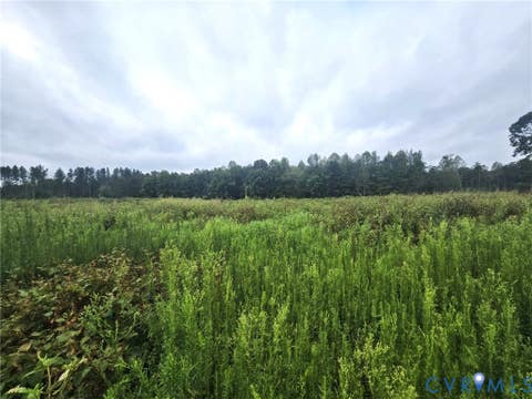 Tiny photo for tbd Rising Sun Road, Mineral, VA 23117 (MLS # 2620774)