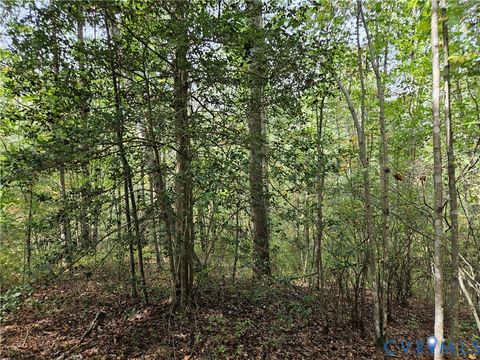 Tiny photo for 00 Off of Long Branch Road, Woodford, VA 22580 (MLS # 2528660)