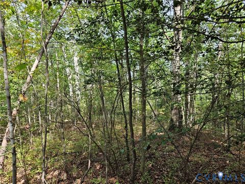 Tiny photo for 00 Off of Long Branch Road, Woodford, VA 22580 (MLS # 2528660)