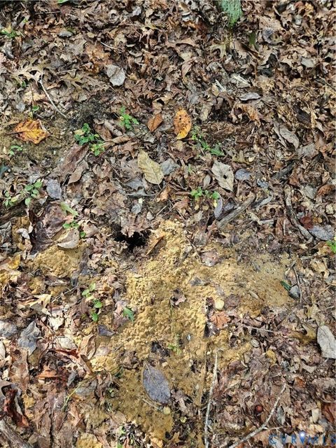 Tiny photo for 00 Off of Long Branch Road, Woodford, VA 22580 (MLS # 2528660)