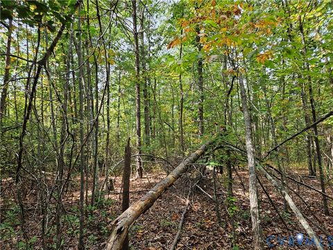 Tiny photo for 00 Off of Long Branch Road, Woodford, VA 22580 (MLS # 2528660)