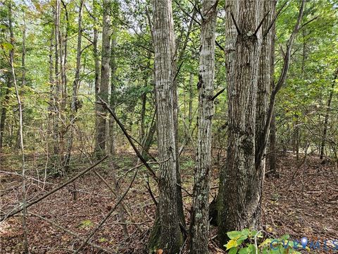Tiny photo for 00 Off of Long Branch Road, Woodford, VA 22580 (MLS # 2528660)