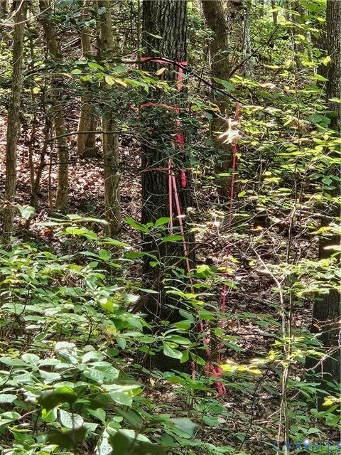 Photo of 00 Off of Long Branch Road, Woodford, VA 22580 (MLS # 2528660)