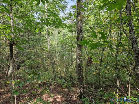 Tiny photo for 00 Off of Long Branch Road, Woodford, VA 22580 (MLS # 2528660)