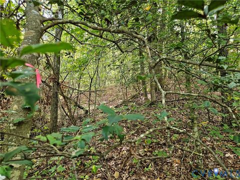 Tiny photo for 00 Off of Long Branch Road, Woodford, VA 22580 (MLS # 2528660)