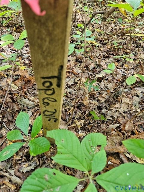Tiny photo for 00 Off of Long Branch Road, Woodford, VA 22580 (MLS # 2528660)