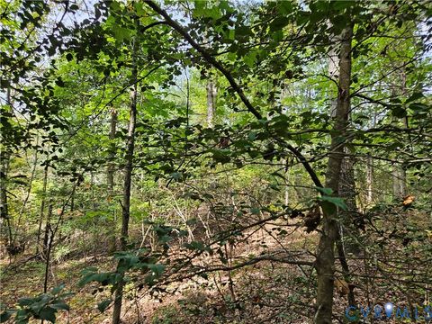Tiny photo for 00 Off of Long Branch Road, Woodford, VA 22580 (MLS # 2528660)