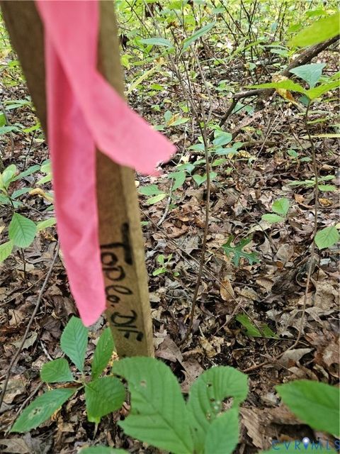 Tiny photo for 00 Off of Long Branch Road, Woodford, VA 22580 (MLS # 2528660)