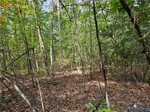 Tiny photo for 00 Off of Long Branch Road, Woodford, VA 22580 (MLS # 2528660)