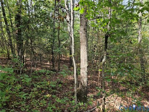 Tiny photo for 00 Off of Long Branch Road, Woodford, VA 22580 (MLS # 2528660)