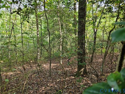 Tiny photo for 00 Off of Long Branch Road, Woodford, VA 22580 (MLS # 2528660)
