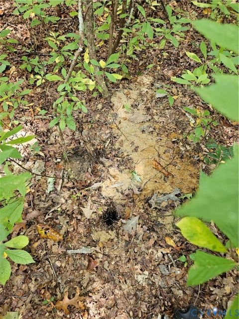 Tiny photo for 00 Off of Long Branch Road, Woodford, VA 22580 (MLS # 2528660)