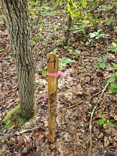 Tiny photo for 00 Off of Long Branch Road, Woodford, VA 22580 (MLS # 2528660)