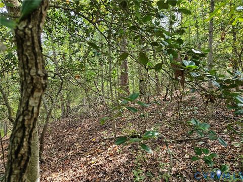 Tiny photo for 00 Off of Long Branch Road, Woodford, VA 22580 (MLS # 2528660)