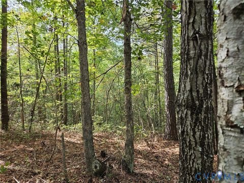 Tiny photo for 00 Off of Long Branch Road, Woodford, VA 22580 (MLS # 2528660)