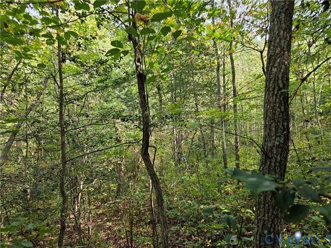 Tiny photo for 00 Off of Long Branch Road, Woodford, VA 22580 (MLS # 2528660)