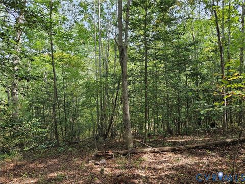 Tiny photo for 00 Off of Long Branch Road, Woodford, VA 22580 (MLS # 2528660)