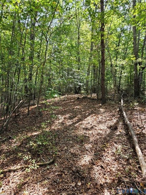 Tiny photo for 00 Off of Long Branch Road, Woodford, VA 22580 (MLS # 2528660)
