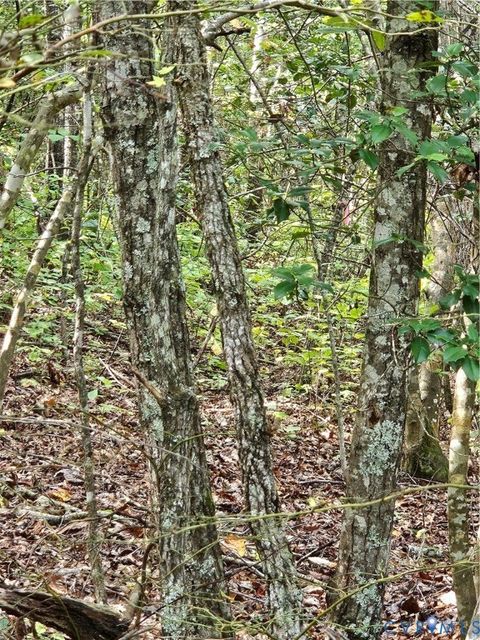 Tiny photo for 00 Off of Long Branch Road, Woodford, VA 22580 (MLS # 2528660)