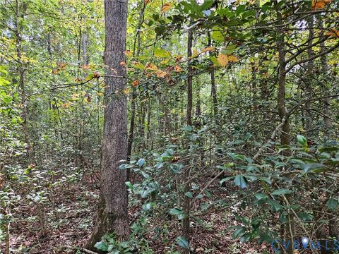 Tiny photo for 00 Off of Long Branch Road, Woodford, VA 22580 (MLS # 2528660)