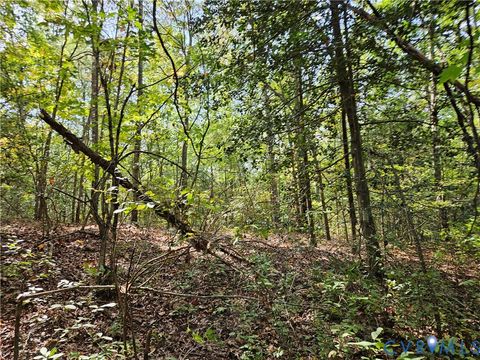 Tiny photo for 00 Off of Long Branch Road, Woodford, VA 22580 (MLS # 2528660)