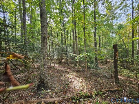 Tiny photo for 00 Off of Long Branch Road, Woodford, VA 22580 (MLS # 2528660)