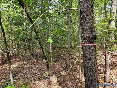 Tiny photo for 00 Off of Long Branch Road, Woodford, VA 22580 (MLS # 2528660)
