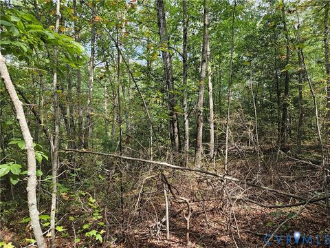 Tiny photo for 00 Off of Long Branch Road, Woodford, VA 22580 (MLS # 2528660)